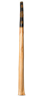 Jesse Lethbridge Didgeridoo (JL264)